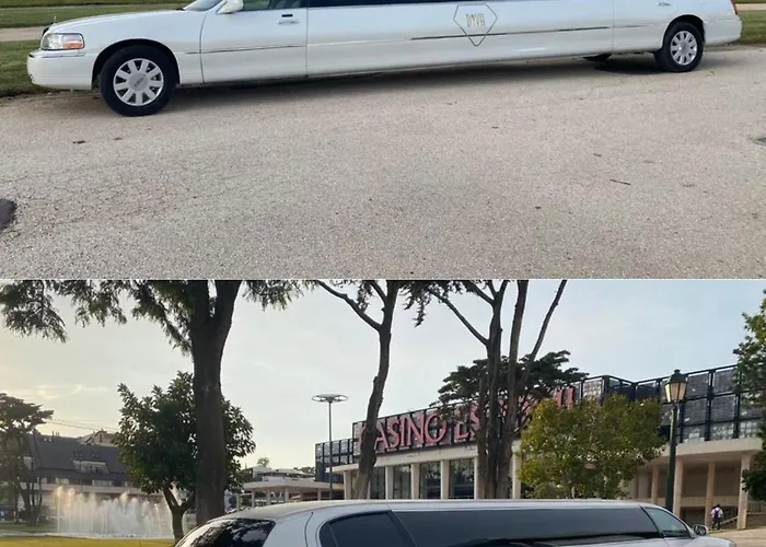 Βίλα Exclusive With Private Pool, Jacuzzi And Sauna - Quinta Da Fera Lisbon Odivelas (Lisbon)